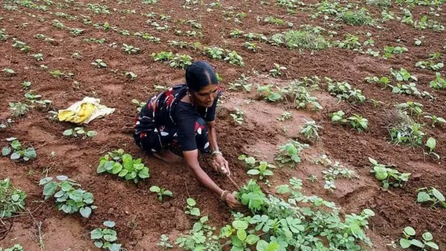 భారత్, ప్రధానమంత్రి, నరేంద్ర మోదీ, చమురు అండ్ సహజ వాయువు రంగం, వాణిజ్యం, వ్యవసాయం