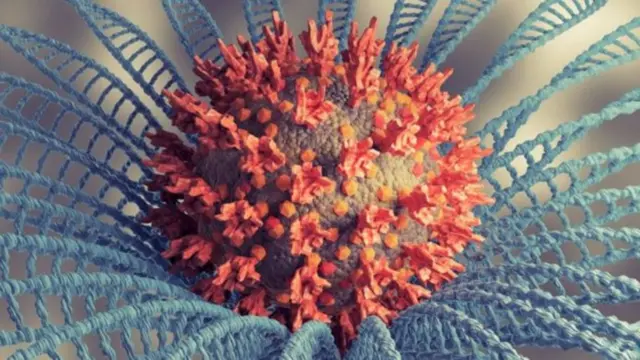 કોરોના મહામારી