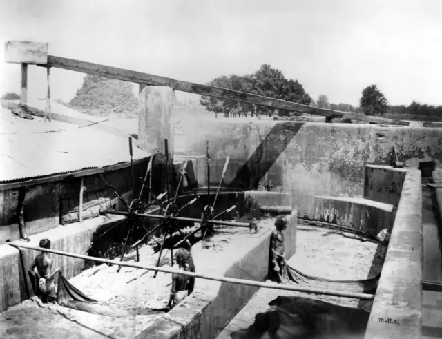 1830 تک بنگال بھر میں ایک ہزار سے زائد نیل کی فیکٹریاں قائم ہو چکی تھیں