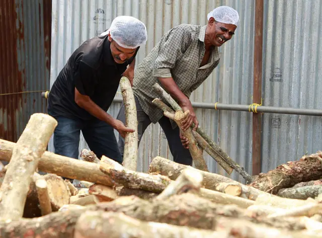 දර එකතු කරමින් සිටින මිනිසුන් දෙදෙනෙක්