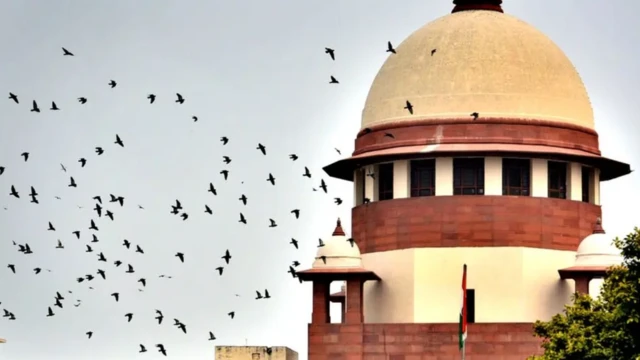 பட்டியலினத்தில் உள்ஒதுக்கீடு: திமுக அரசின் சட்டம், உச்ச நீதிமன்றத்தால் அங்கீகரிக்கப்பட்டது ஏன்?