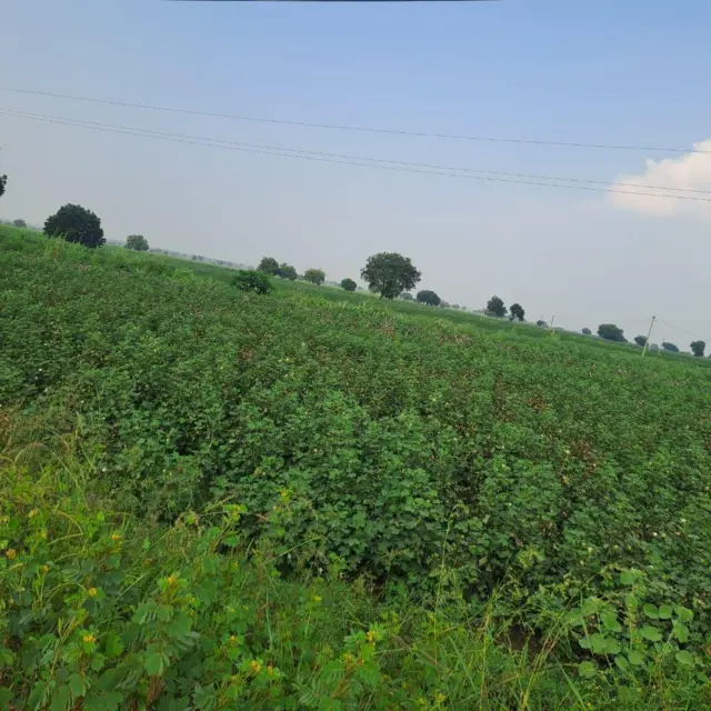 సరస్వతీ పవర్ ఇండస్ట్రీస్ భూములు