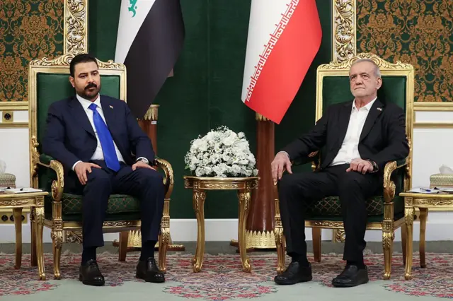دیدار مسعود پزشکیان و علی زیدی، آنها روی صندلیهایی طلایی رنگ نشستهاند