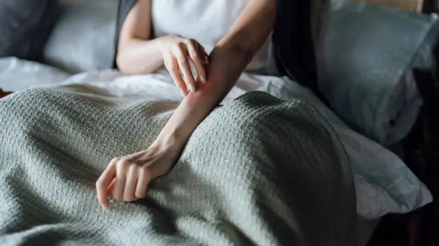 pakaian bekas impor, thrift fashion