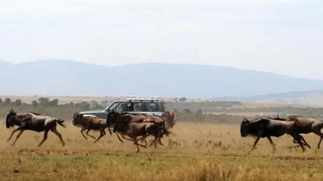 ሕዛእቲ ኬንያ