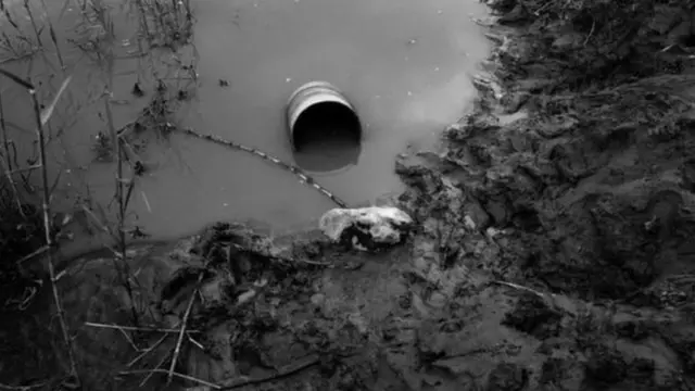 Omi adagun ti awọn ara abule Muassi npọn