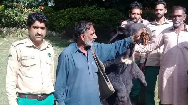 وائلڈ لائف اہلکار