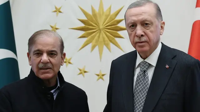 शहबाज़ शरीफ़ और राष्ट्रपति अर्दोआन