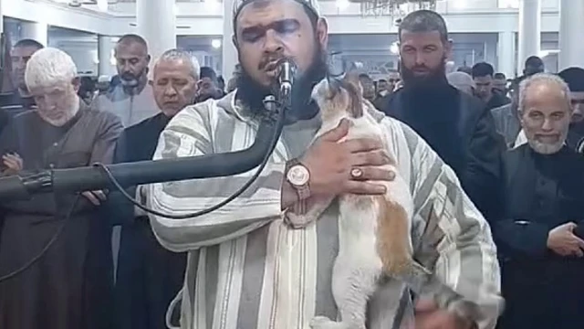 फनी वीडियो