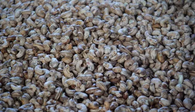 కోనసీమ, జీడి గింజలు