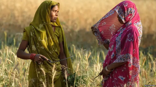 કૃષિ ક્ષેત્રમાં કામ કરતી મહિલાઓની પ્રતીકાત્મક તસવીર