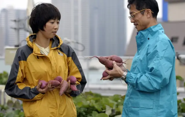 చిలగడ దుంపలు