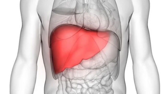 กลุ่มอาการร่างกายบ่มสุราได้เอง ทำให้คนเมาและป่วยโรคตับทั้งที่ไม่ได้ดื่มแอลกอฮอล์เข้าไป