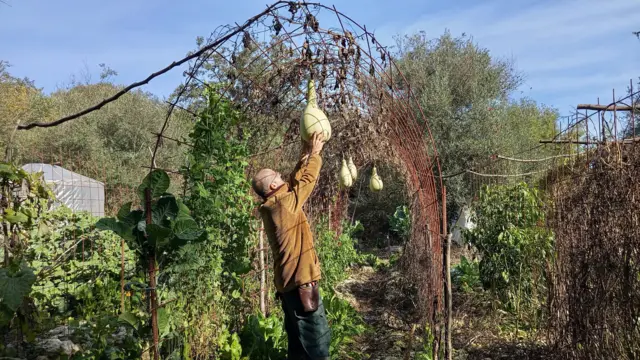 Roger sujeta una calabaza en el huerto de su casa.