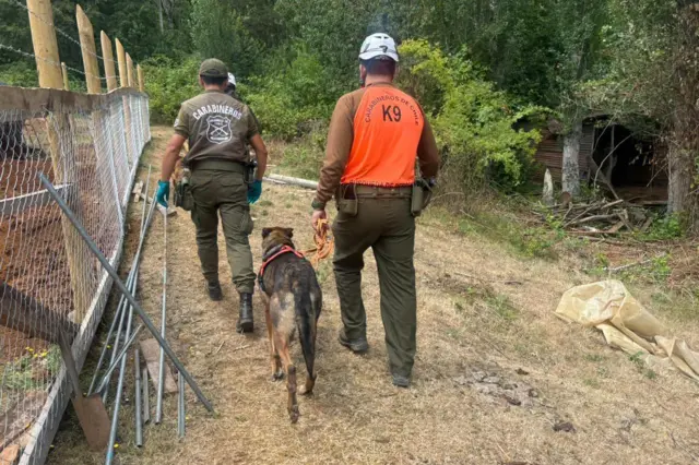Carabineros de Chile realiza diligencias en búsqueda del cuerpo de Julia Chuñill en el predio rural donde vivía. 