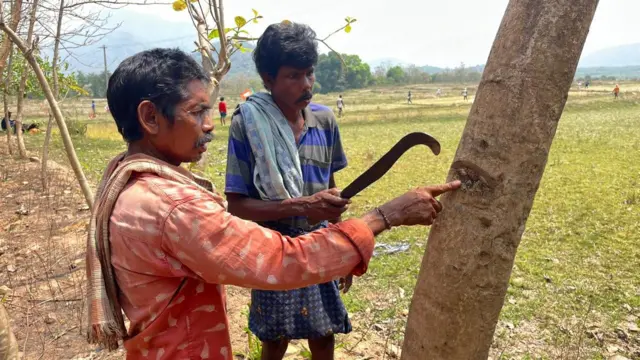 ఆంధ్రప్రదేశ్, విశాఖపట్నం, ఏజెన్సీ ఏరియా, గిరిజనులు