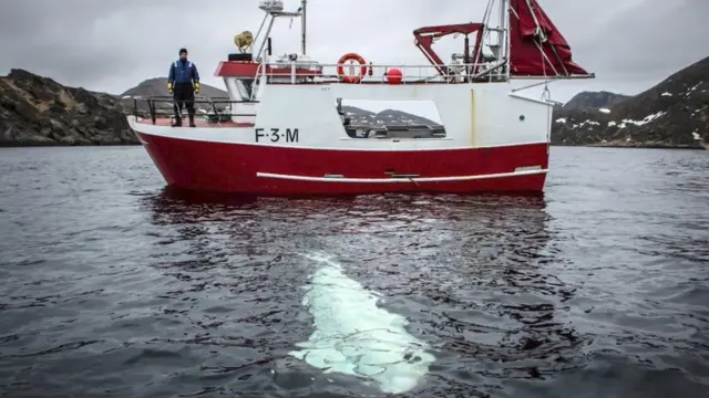 समुद्री जल