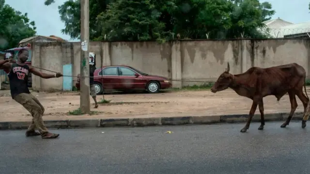 Obi Cubana na-ewusike díka o nwetere onyinye ehi pụrụiche maka akwamozu nne ya