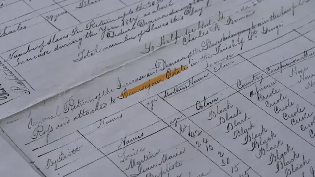 Des documents de la plantation Beauséjour