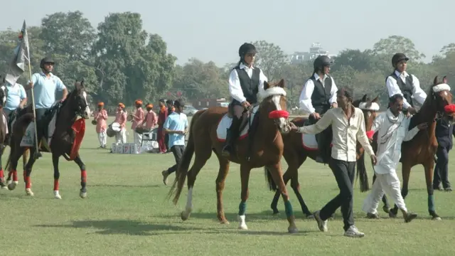 मारवाड़ी घोड़ा