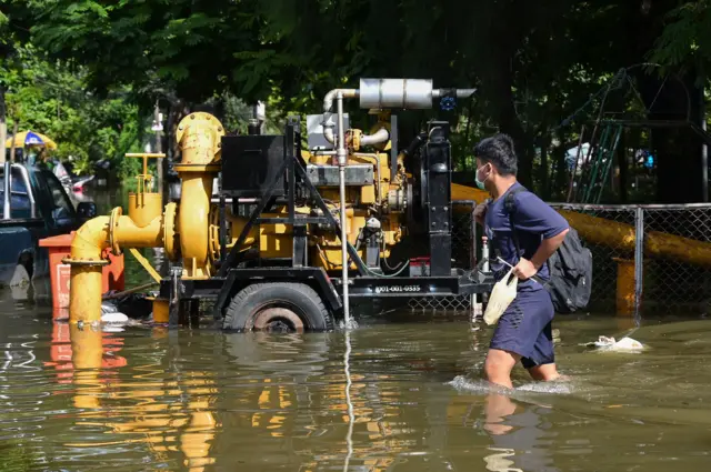 มองข้าม "เส้นเลือดฝอย" มาโดยตลอด