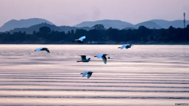 फोन रेडिएशन