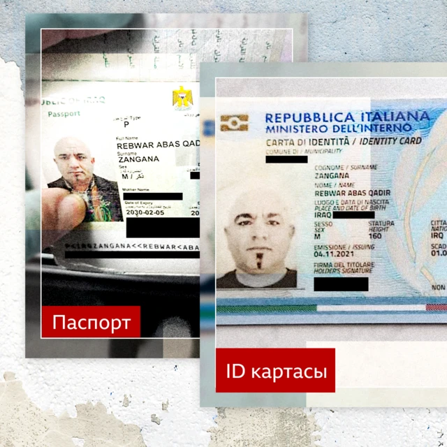 Жабалини издөө