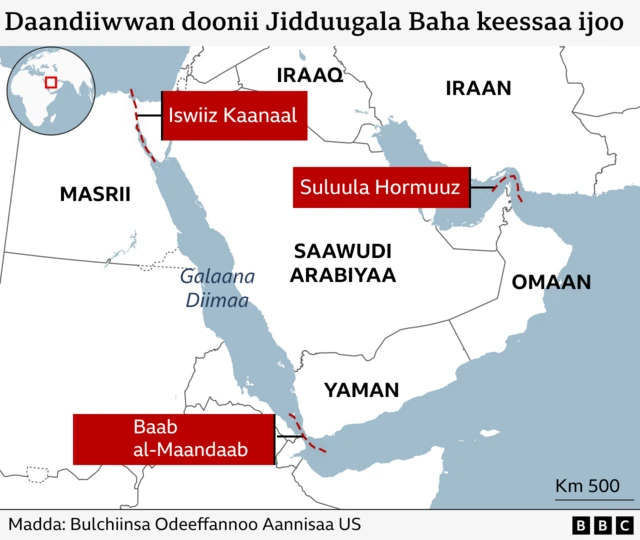 Daandiiwwan ijoo dooniin irra imalan