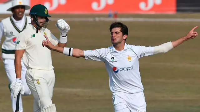 شاہین آفریدی