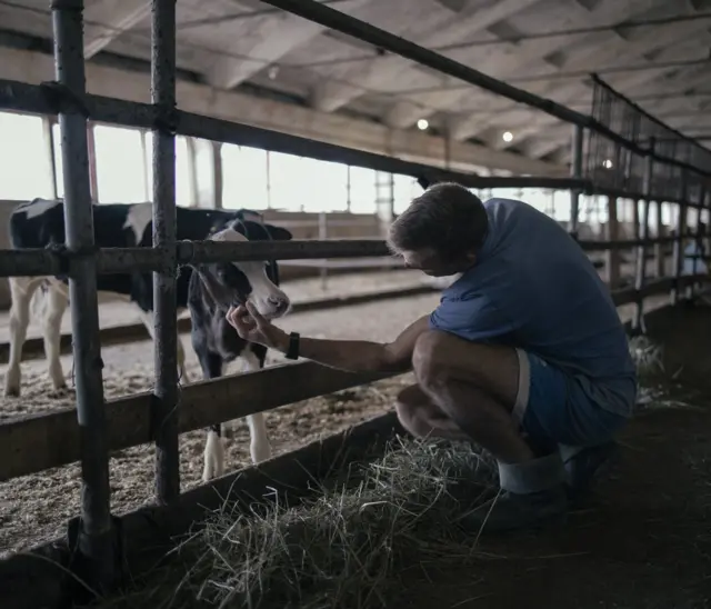Farma takođe ima zvaničnu veterinarsku licencu - kvalitet mesa obezbeđen je čistoćom hrane za životinje i tehnologijom proizvodnje.