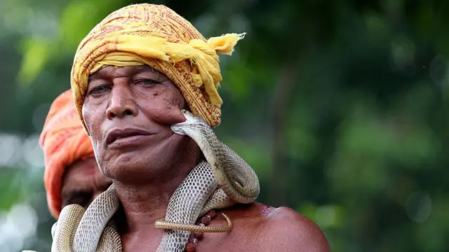 పాము కాటు 