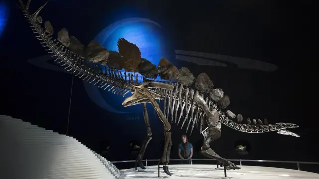 ไดโนเสาร์