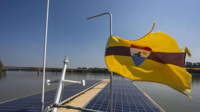 Bandeira amarela, com faixa marrom e brasão vermelho, branco e azul com um pássaro ao centro