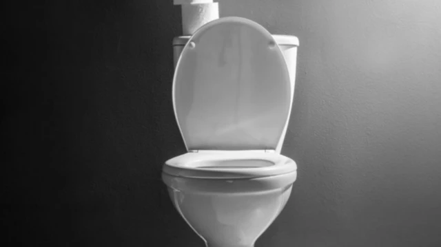 மலம், ஆரோக்கியம், குடல், மனித உடல், நுண்ணுயிர்கள்