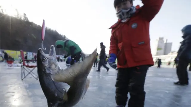 आइस फेस्टिवल