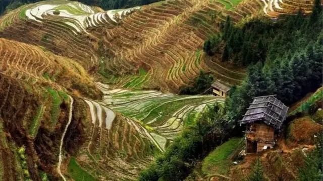 ਇਹ ਲੂਨਜੀਆਂਗ ਰਾਈਸ ਟੇਰਿਸਿਸ ਦੇ ਪੌੜੀਦਾਰ ਖੇਤ