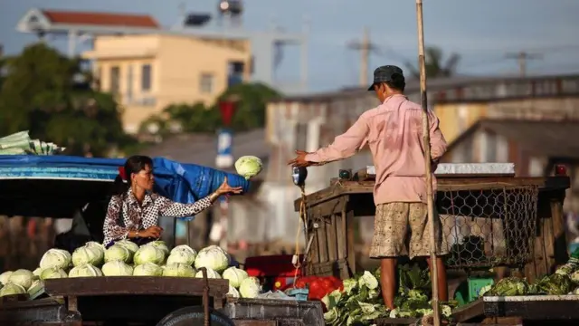 Việt Nam Nam