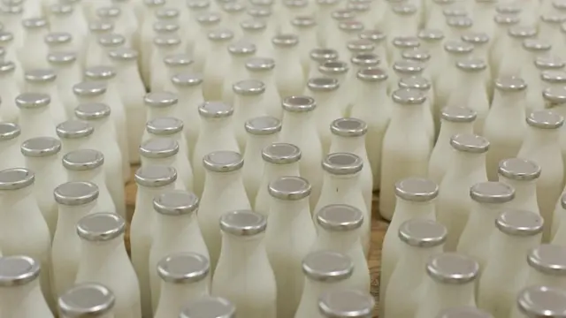 هل ينبغي تجنب منتجات الألبان عند الإصابة بنزلات البرد؟