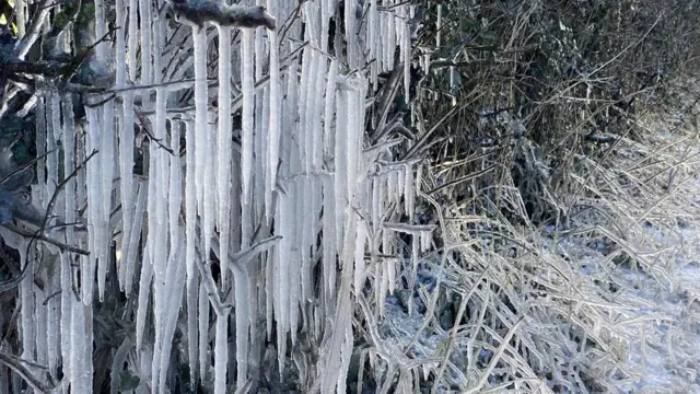 سياج من الجليد.