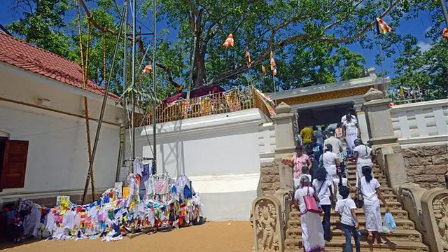 Sri Maha Bodhi Sri Lanka