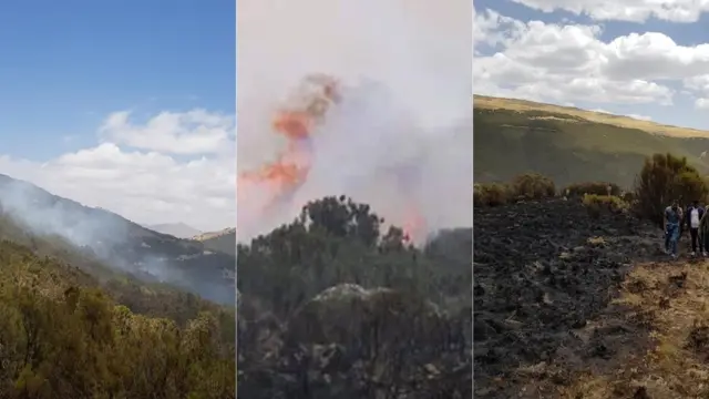 በፓርኩ የተከሰተው የእሳት አደጋ