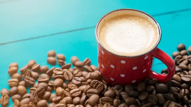 咖啡公司通常不会自己去除咖啡因,都是由专业公司来做