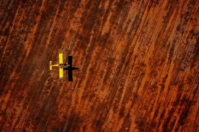 Фото ферм Австралії