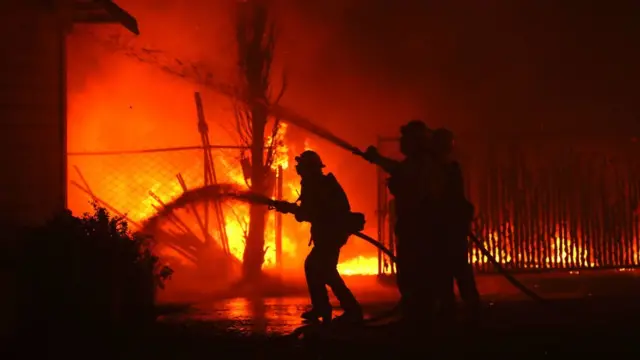 Лісові пожежі