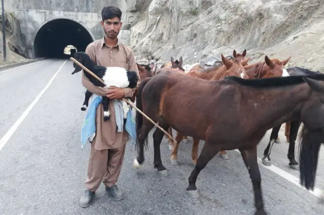 బకర్వాల్ గొర్రెల కాపరి