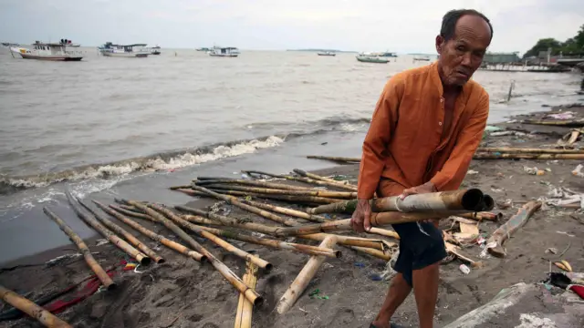 Seorang warga mengumpulkan bambu dari pembongkaran pagar laut yang terbawa arus laut ke pinggir pantai di Tanjung Pasir, Kabupaten Tangerang, Banten, Rabu (22/1/2025). Warga mengatakan bambu-bambu yang dikumpulkan untuk membuat pagar rumah dan kandang ayam. 