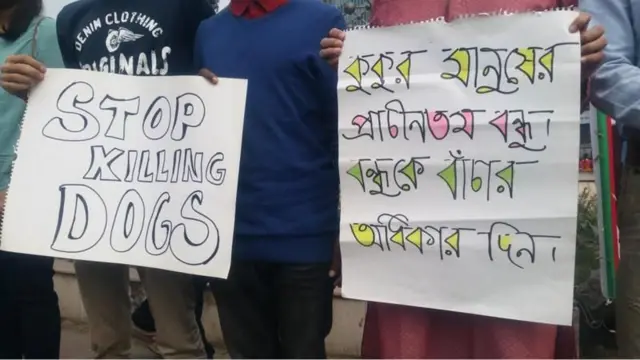 ২০১৭ সালে নির্বিচারে কুকুর নিধনের বিরুদ্ধে প্রতিবাদ জানায় পশুপ্রেমীরা