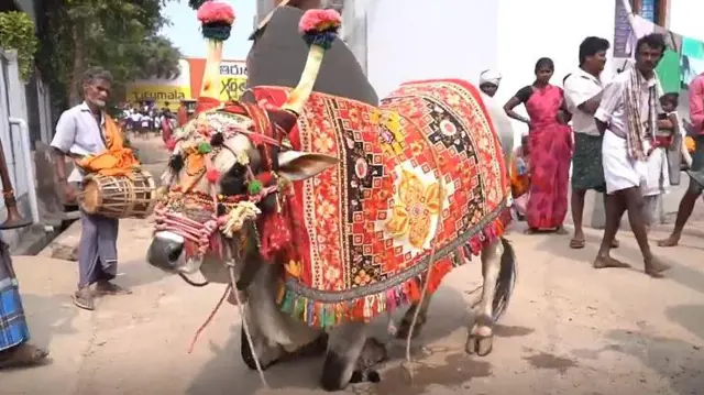 గంగిరెద్దులు