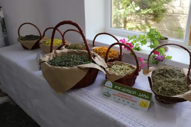 Чогултулган дары чөптөр