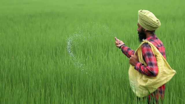 ਕਿਸਾਨ